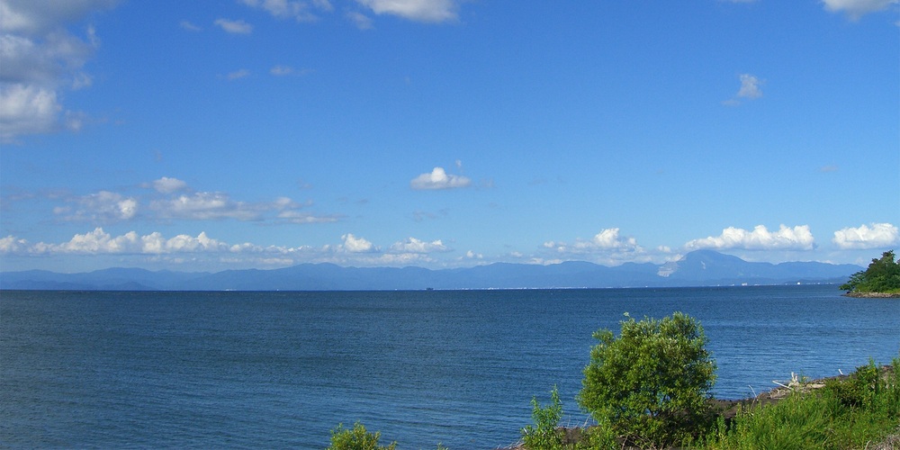 滋賀県産材「びわ湖材」