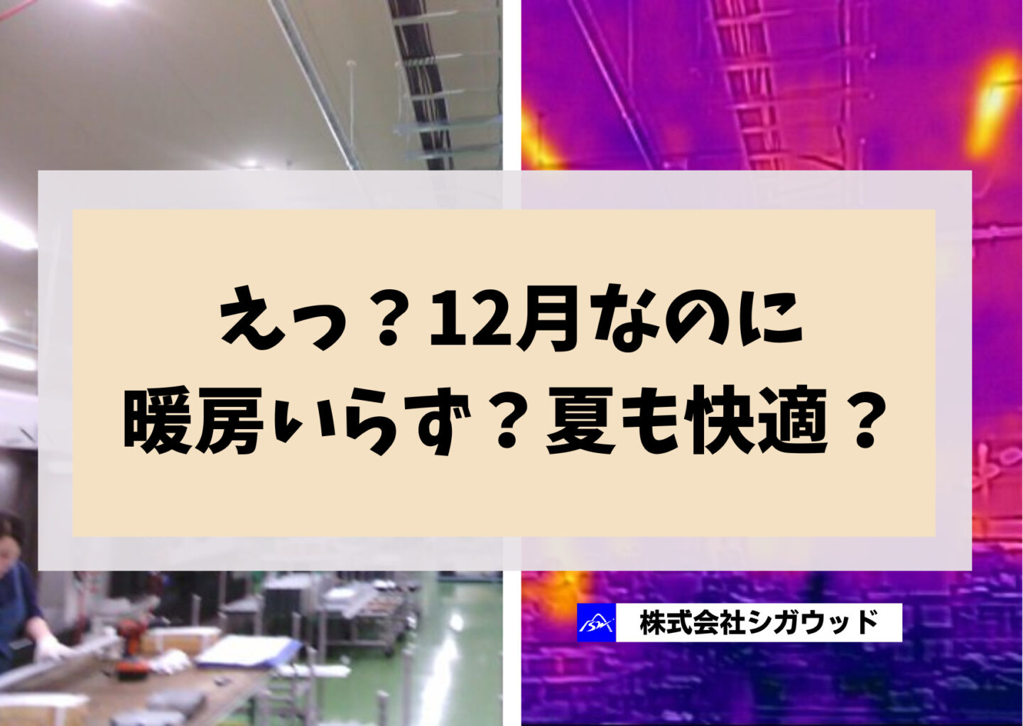 えっ？12月なのに暖房いらず？夏も快適？【木造工場】