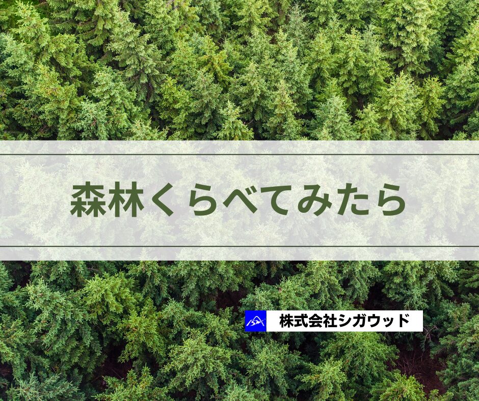 森林くらべてみたら